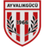 阿华利古奇